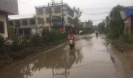 南阳新野最新爆料,揭秘古城新颜背后的故事