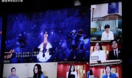 满汉歌手爆料视频大全,视频大全背后的精彩瞬间