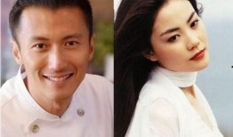 娱乐圈八卦大爆料王菲,娱乐圈的神秘天后，揭秘她的不为人知故事