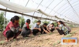 吃瓜网红文案怎么写好,如何撰写引人入胜的文案攻略