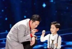 女子爆料蔡国庆视频播放,真相究竟如何？