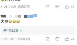 张颖颖爆料分析最新消息,揭秘娱乐圈最新动态与幕后真相