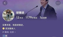 胡锡进爆料的视频,视频内容深度解析