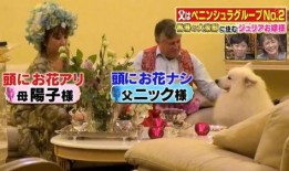 香港生活爆料视频,短视频带你领略真实港岛风情