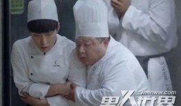 厨师小胖爆料视频播放大全,视频播放大全精彩瞬间大揭秘