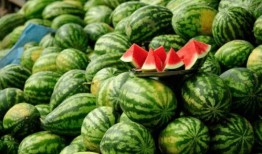 善堂网红吃瓜视频,善堂网红视频背后的故事