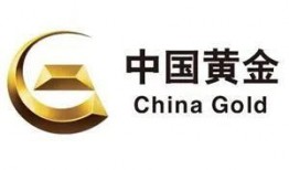 金河11月最新爆料消息,揭秘最新动态与重大事件