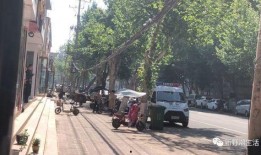 南阳新野最新爆料,揭秘古城新颜背后的故事