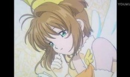 无差别小樱爆料视频,揭秘神秘事件背后的真相