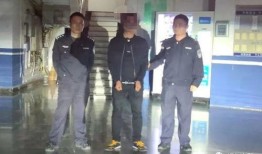 交警爆料伤人案件视频