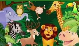 颜色动物爆料怎么做视频,视频制作攻略，捕捉自然之美