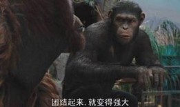 猩球崛起 免费在线观看,自由之战免费在线观影指南