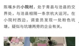 老二爆料老陈的视频大全,老陈视频大全背后的惊人真相