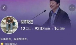 胡锡进爆料的视频,视频内容深度解析