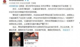 龙岗区刘先生爆料事件视频