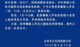 四川借钱爆料事件最新,揭开校园贷乱象背后的真相与反思