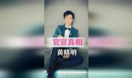 大锤爆料官宣了吗最新消息,最新消息揭晓，揭秘幕后真相