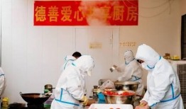抗癌厨房爆料视频大全最新,最新爆料视频大全深度解析
