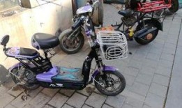 长春电动车最新爆料,揭秘最新款型与市场趋势