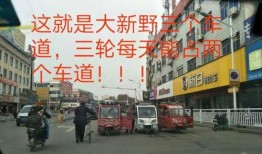 南阳新野最新爆料,揭秘古城新颜背后的故事