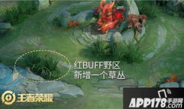 峡谷新闻爆料,新闻爆料背后的真相揭晓