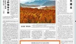 汝城新闻爆料电话,揭秘本地新闻背后的故事