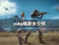 端游pubg最新爆料,新版本爆料揭秘，全新玩法与角色即将上线！