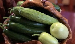 善堂网红吃瓜视频,善堂网红视频背后的故事