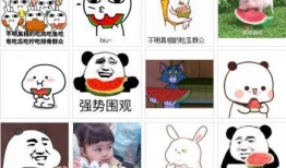 带着我的吃瓜免费阅读,带你领略“带着我的吃瓜”的独特魅力