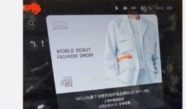 蔚来车主爆料内容大全视频,揭秘蔚来汽车的真实表现与用户反馈