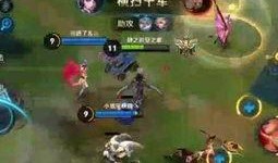 王者小白爆料视频大全最新,揭秘游戏幕后精彩瞬间