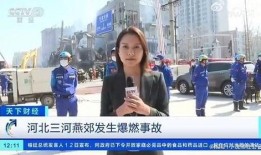 记者爆料育婴员视频播放,揭秘婴幼儿照护行业现状