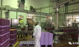 雪莲加工厂爆料视频播放,揭秘神秘植物加工全过程