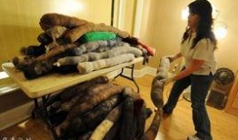 最新爆料热点事件视频,视频爆料背后的真相与影响