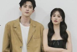 最新爆料白鹿,揭秘神秘爆料背后的真相