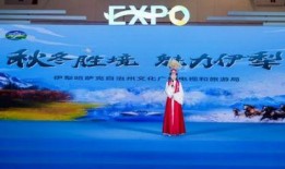 伊犁文旅局爆料新闻最新,探寻神秘古丝绸之路的瑰宝之旅