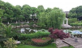 上海别墅爆料大全集视频,爆料大全集视频深度解析