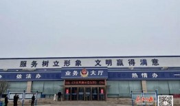 焦作车管所爆料事件最新,内幕曝光，真相背后引关注