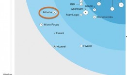 最新白术爆料新闻报道