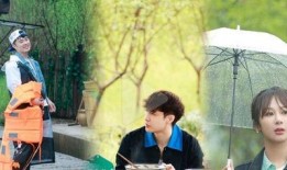 杨紫相亲爆料了吗视频播放,揭秘明星相亲幕后故事