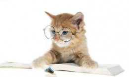 娱乐吃瓜君与猫,揭秘娱乐圈的萌宠生活