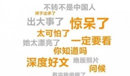 日照爆料最新新闻报道,聚焦热点事件追踪报道