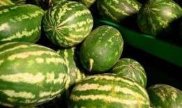 临沧网红吃瓜事件,揭秘网络舆论背后的真相与反思