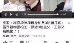 张柏芝近日爆料新闻内容,揭秘娱乐圈不为人知的真相