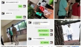 中介爆料臭蛋事件视频下载,揭秘背后惊人真相