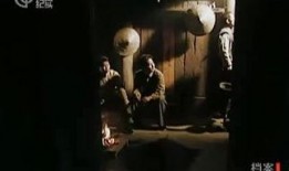 生人回避在线观看,揭秘网络社交的隐秘世界