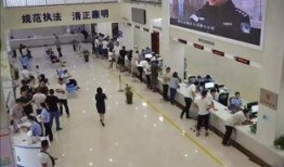 焦作车管所爆料事件最新,内幕曝光，真相背后引关注