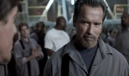 七大叔在线观看,重温经典，感受岁月流转