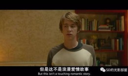 我和厄尔女孩在线观看