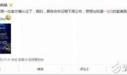 一加15最新爆料消息,性能与设计双突破，揭秘最新爆料亮点！”